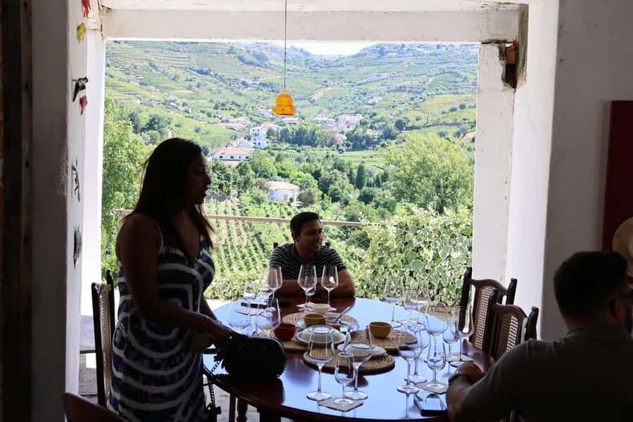 From Porto: 2 Boutique Wineries w/ Winery Lunch & 1-h cruise - Who should book this experience