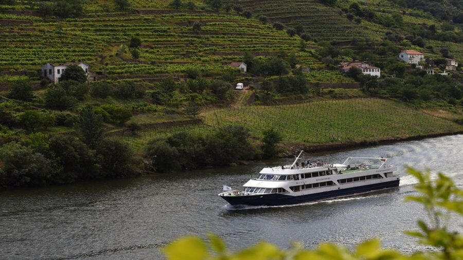 From Porto: Douro River Cruise, Winery Visit & Lunch - Régua marks the wine country