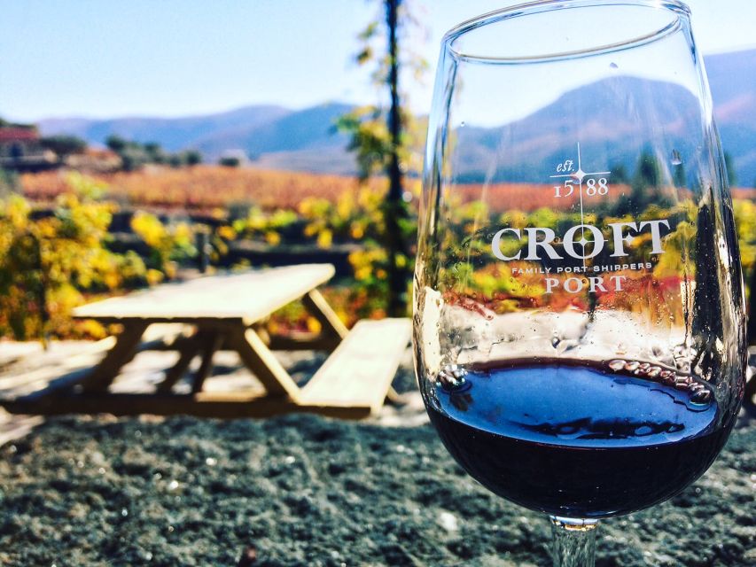 From Porto: Douro Valley w/ Boat Tour, Wine Tasting & Lunch - Practical details that affect your choice