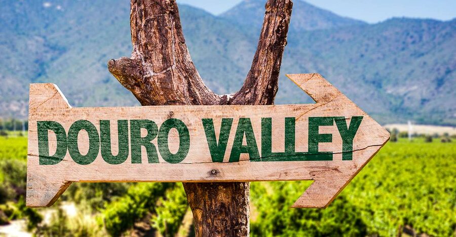 From Porto: Douro Valley w/ Boat Tour, Wine Tasting & Lunch - The N222 and the road through the valley