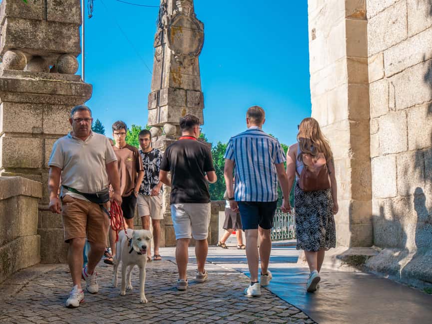 From Porto: Douro Valley Wine Tour with Lunch and Cruise - A quiet private-pier cruise on the Douro