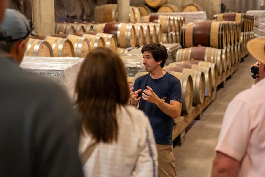 From Porto: Douro Valley Wine Tour with Lunch and Cruise - What the $142 price gets you