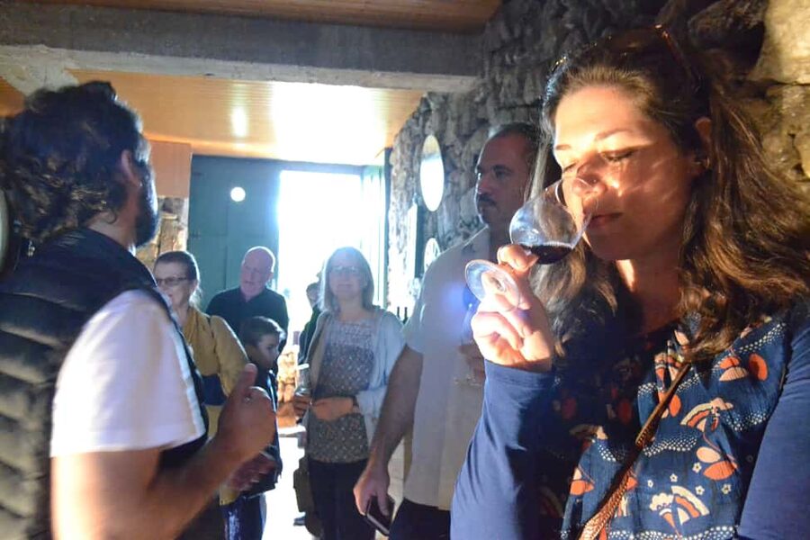 From Porto: Premium Douro Valley 4 Vineyards Tour with Lunch - The larger producer and the olive oil tasting