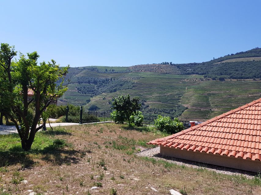 From Porto: Premium Douro Valley 4 Vineyards Tour with Lunch - The N222 and a winery lunch