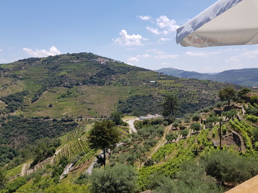 From Porto: Premium Douro Valley 4 Vineyards Tour with Lunch - Who should book this tour