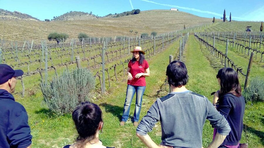From Porto: Premium Douro Valley 4 Vineyards Tour with Lunch - The 90-minute journey into the valley
