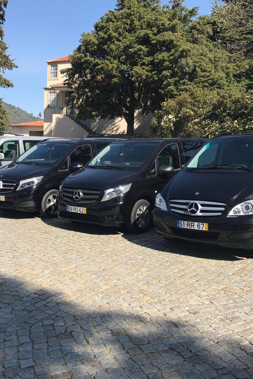 From Porto: Premium Douro Valley Small-Group Wine Tour - Why this Douro Valley tour works so well