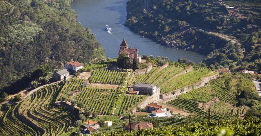 From Porto: Premium Douro Valley Small-Group Wine Tour - First winery: tasting wine above the terraces