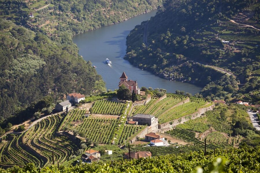 From Porto: Premium Douro Valley Small-Group Wine Tour - What the small group changes