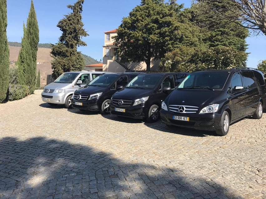 From Porto: Premium Douro Valley Small-Group Wine Tour - When to go and what to bring
