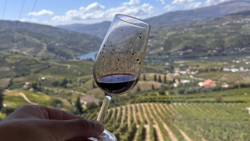 From Porto: Tastings at 2 Wineries, Chef's Lunch & Boat Tour - The farm lunch at the family estate