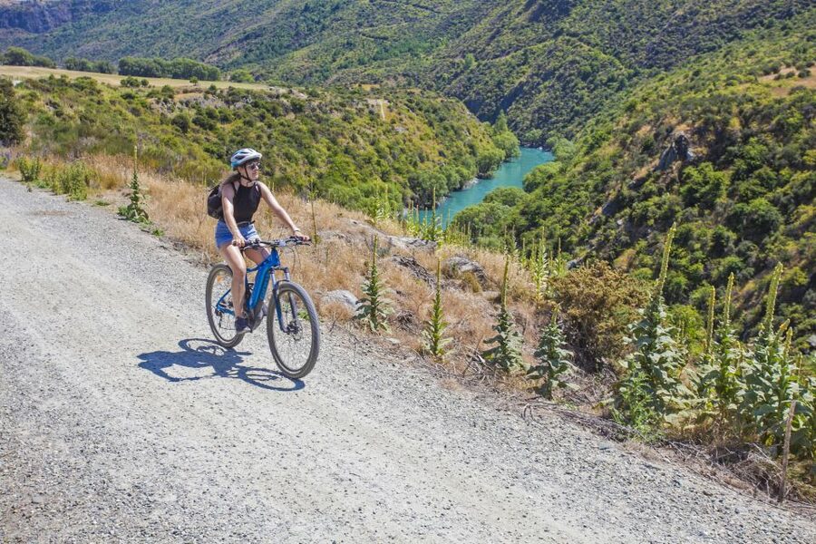 From Queenstown: 'Valley of the Vines' Wine and Bike Tour - Riding the 2 to 3 hour Twin Rivers route