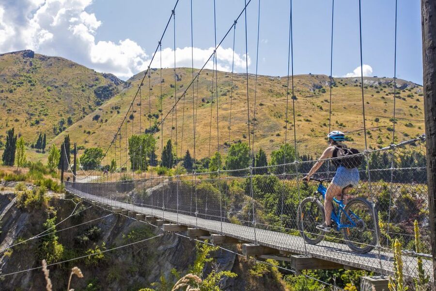 From Queenstown: 'Valley of the Vines' Wine and Bike Tour - Wine country stops at Mount Rosa and Kinross