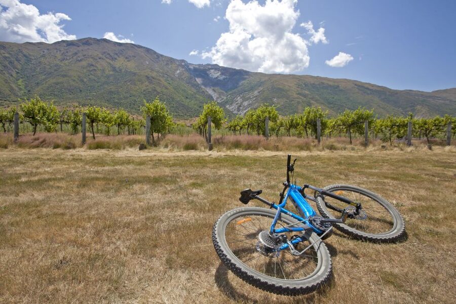 From Queenstown: 'Valley of the Vines' Wine and Bike Tour - Should you book the Valley of the Vines tour?