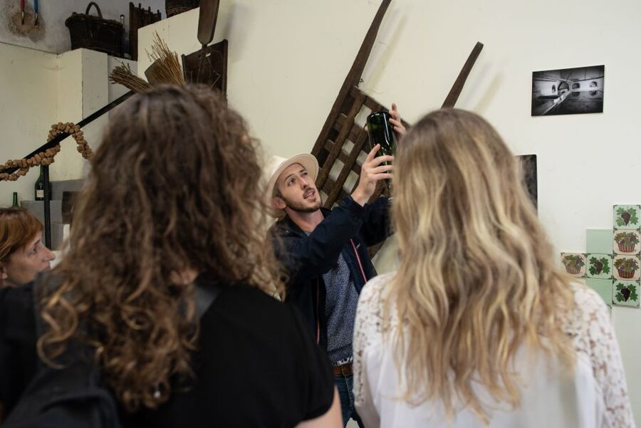 From Reims: Champagne and Family-Run Wineries Tour - Who should book this experience