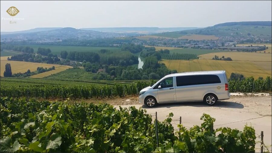 From Reims: Champagne Day Trip to 3 Family Domains & Lunch - Reims, the Marne Valley, and the first tasting