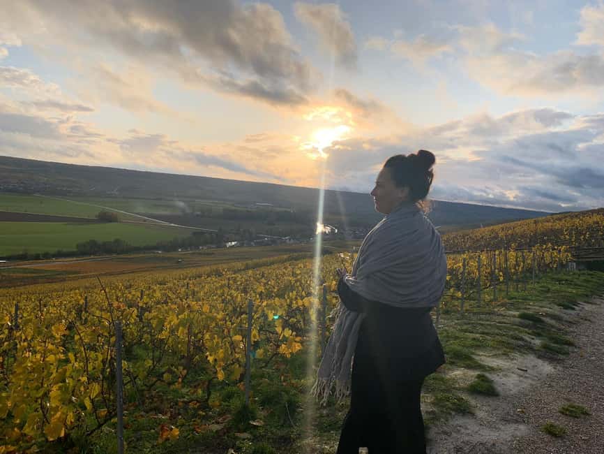 From Reims: Morning Champagne Tour and Tastings - Why this four-hour Champagne tour works so well