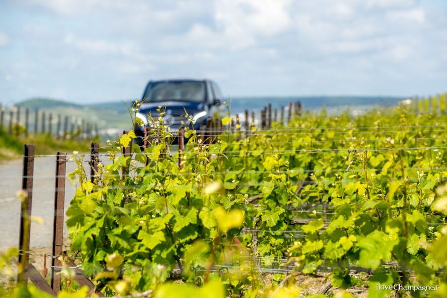 From Reims: Morning Champagne Tour and Tastings - The first estate: a full look at Champagne production