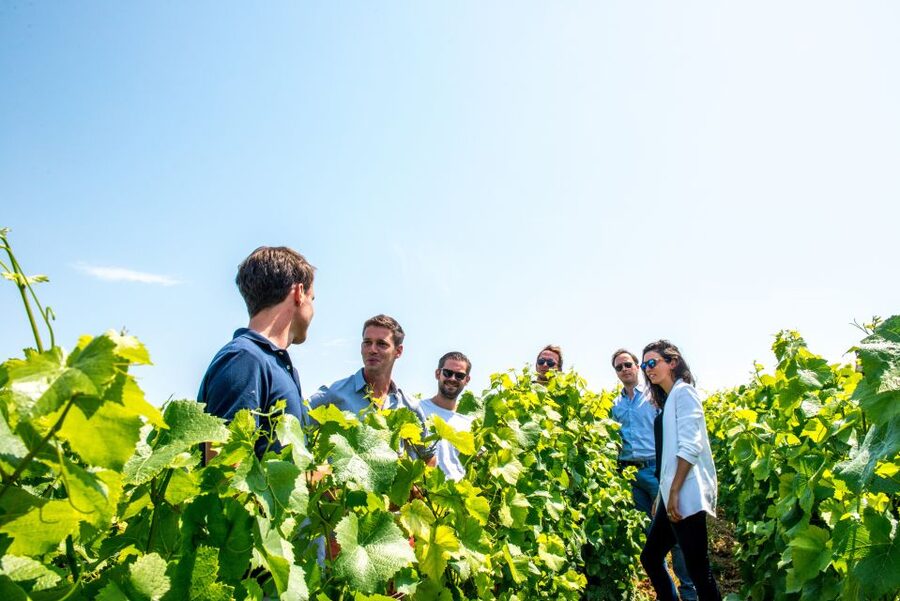From Reims: Morning Champagne Tour and Tastings - Who should book this Champagne morning