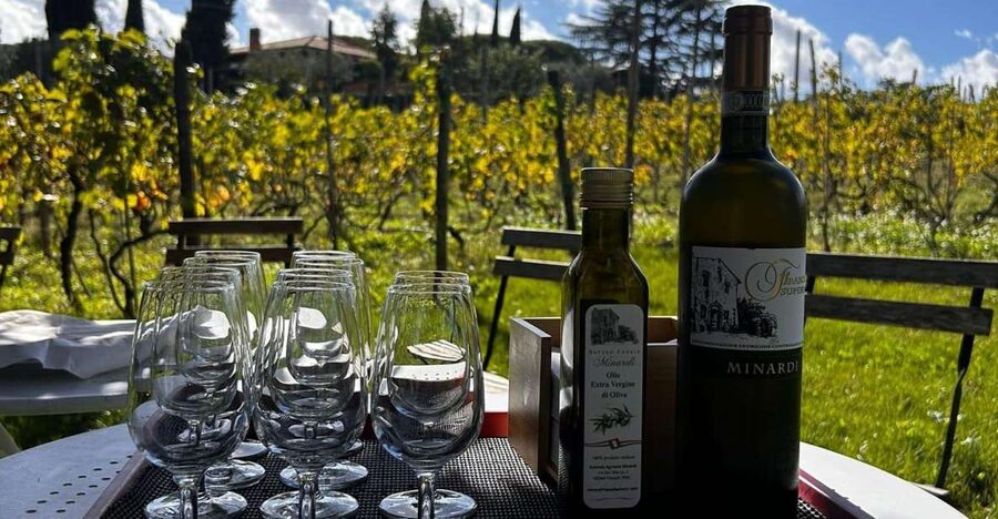 From Rome: Half-Day Frascati Wine Tour with Farmhouse Lunch - Leaving Rome for Frascati by train
