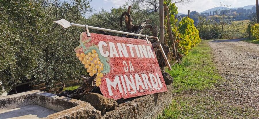 From Rome: Half-Day Frascati Wine Tour with Farmhouse Lunch - The family farmhouse seven minutes from town