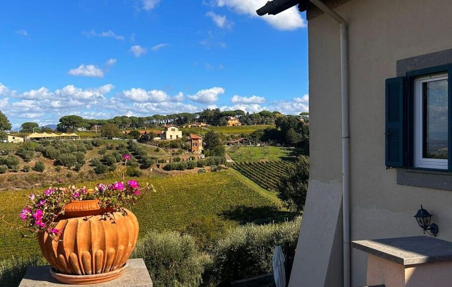 From Rome: Half-Day Frascati Wine Tour with Farmhouse Lunch - Guitar music and the social side of lunch