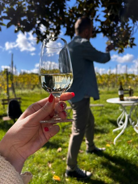 From Rome: Pasta Masterclass & Wine Tour in the Vineyard - Guides, group size, and the feel of the visit