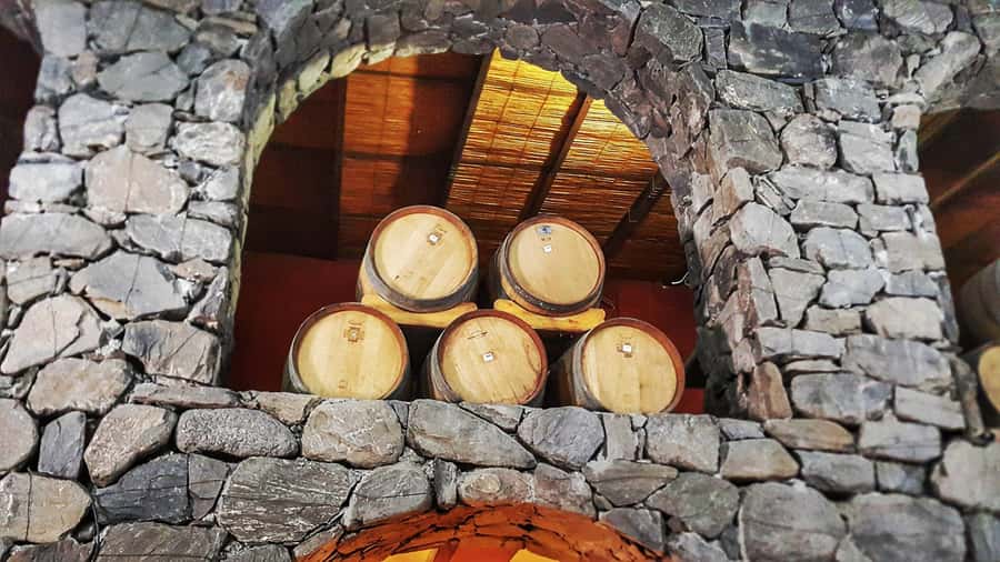 From Salta: Cafayate Day Trip with Wine Tasting - What the guides add to the day