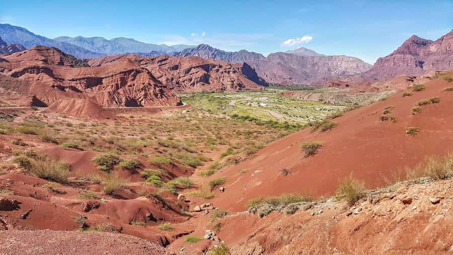 From Salta: Cafayate Day Trip with Wine Tasting - The vineyard and Torrontés tasting