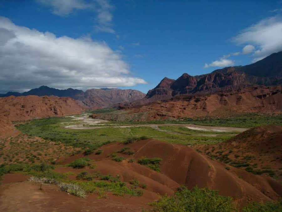 From Salta: Full-Day Tour to Cafayate with Wine Tasting - The 68 highway from Salta to tobacco country
