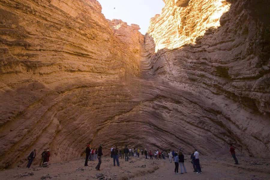 From Salta: Full-Day Tour to Cafayate with Wine Tasting - Who should book this Salta to Cafayate tour?
