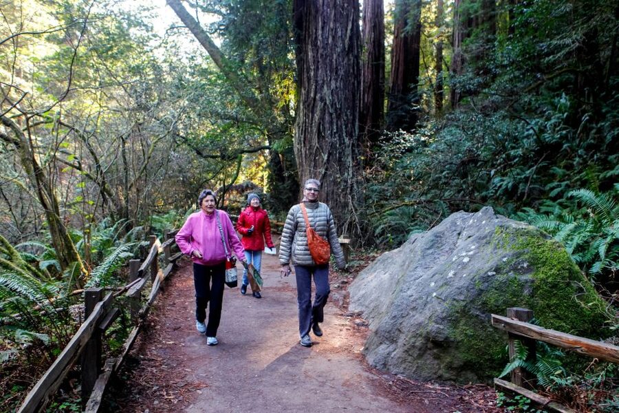 From San Francisco: Muir Woods & 3 Wineries in Napa & Sonoma - Golden Gate Bridge photos, fog permitting