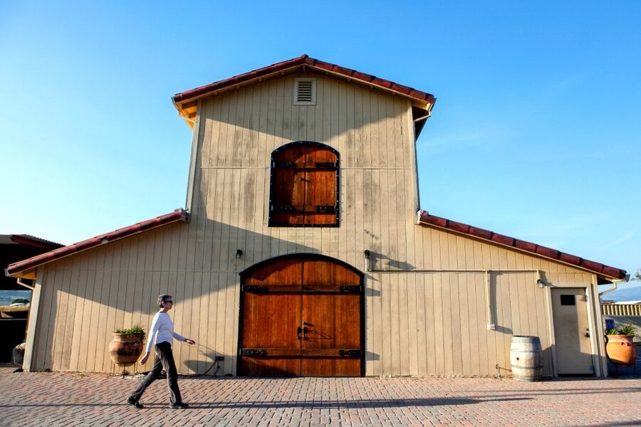 From San Francisco: Muir Woods & 3 Wineries in Napa & Sonoma - Who should book this day trip