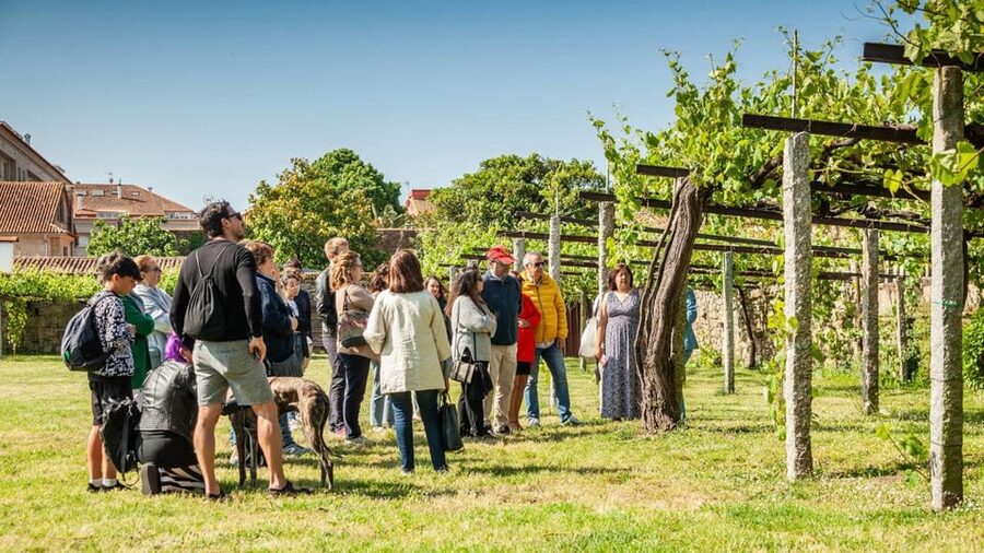 From Santiago: Tour to Rias Baixas with Boat Trip and Winery - La Lanzada and a short coastal walk