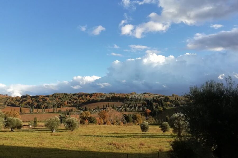 From Siena: Brunello di Montalcino Guided Wine Tour W/ Lunch - The guides shape the day