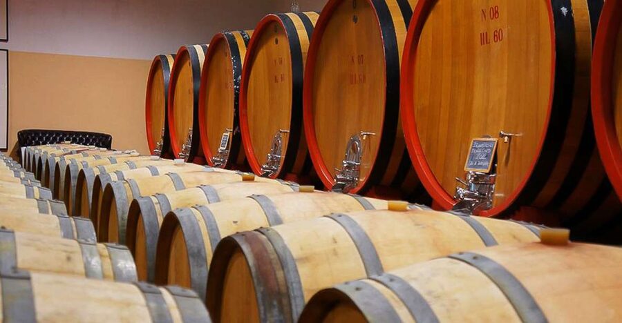 From Siena: Brunello di Montalcino Guided Wine Tour W/ Lunch - First tastings among the Montalcino vines