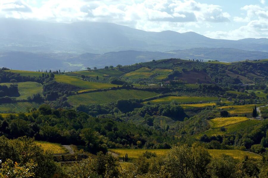 From Siena: Brunello di Montalcino Guided Wine Tour W/ Lunch - The third winery and the final tasting