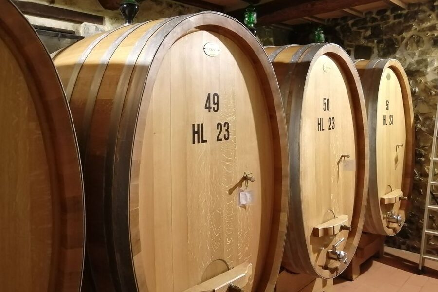 From Siena: Brunello di Montalcino Guided Wine Tour W/ Lunch - How much value is in the $203.91 price?