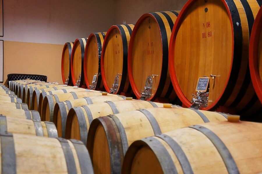 From Siena: Brunello di Montalcino Guided Wine Tour W/ Lunch - Meeting your guide beneath the tree in Siena
