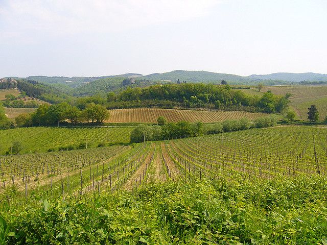 From Siena: Chianti and Castles Tour with Wine Tastings - Should you book the Chianti and Castles Tour?