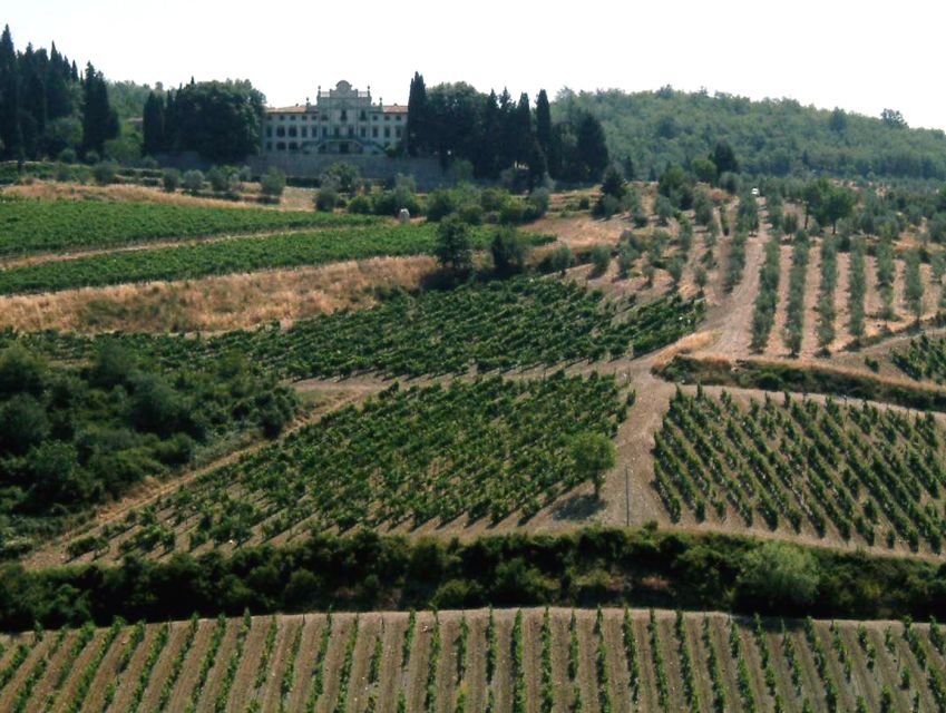 From Siena: Chianti and Castles Tour with Wine Tastings - Rolling through Chianti by minivan