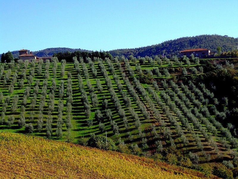 From Siena: Chianti and Castles Tour with Wine Tastings - Monteriggioni and the medieval walls