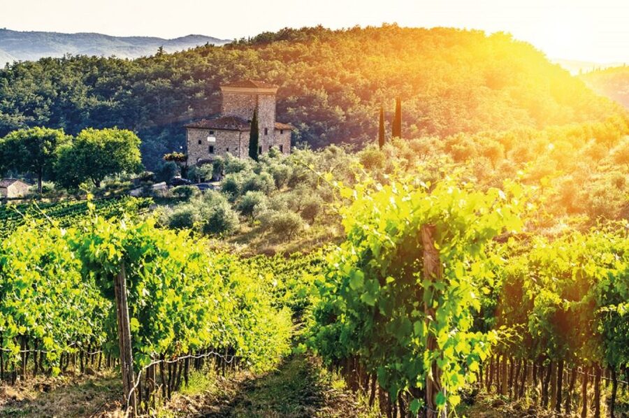 From Siena: Chianti and Castles Tour with Wine Tastings - The second winery brings a different mood