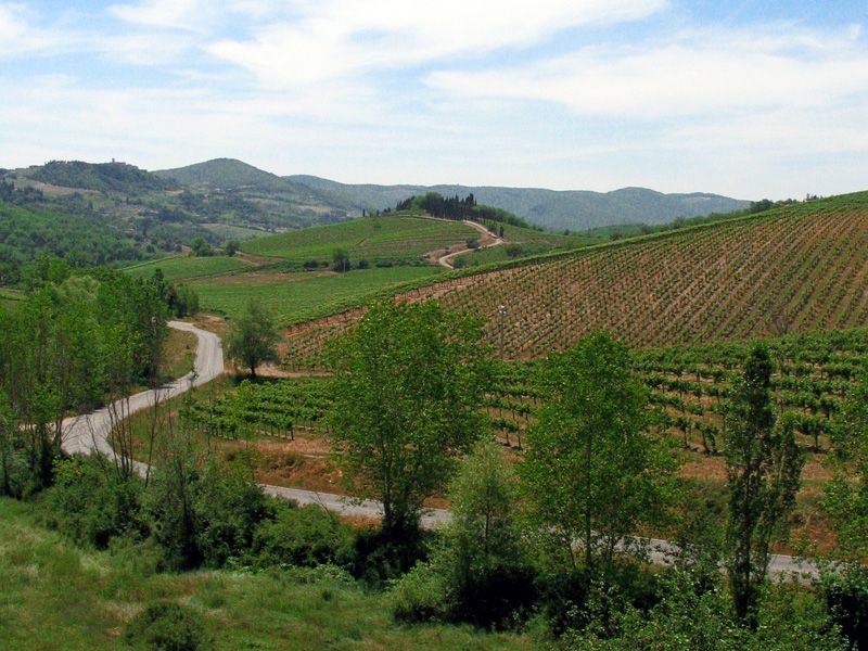 From Siena: Chianti and Castles Tour with Wine Tastings - Who should book this half-day outing
