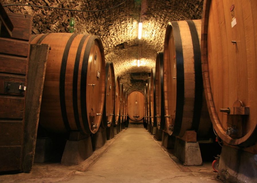 From Siena: Chianti and Castles Tour with Wine Tastings - Practical tips for a smoother afternoon
