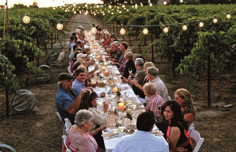 From Siena/Chianti: Dinner & Drinks in the Chianti Vineyards - Key points before you book
