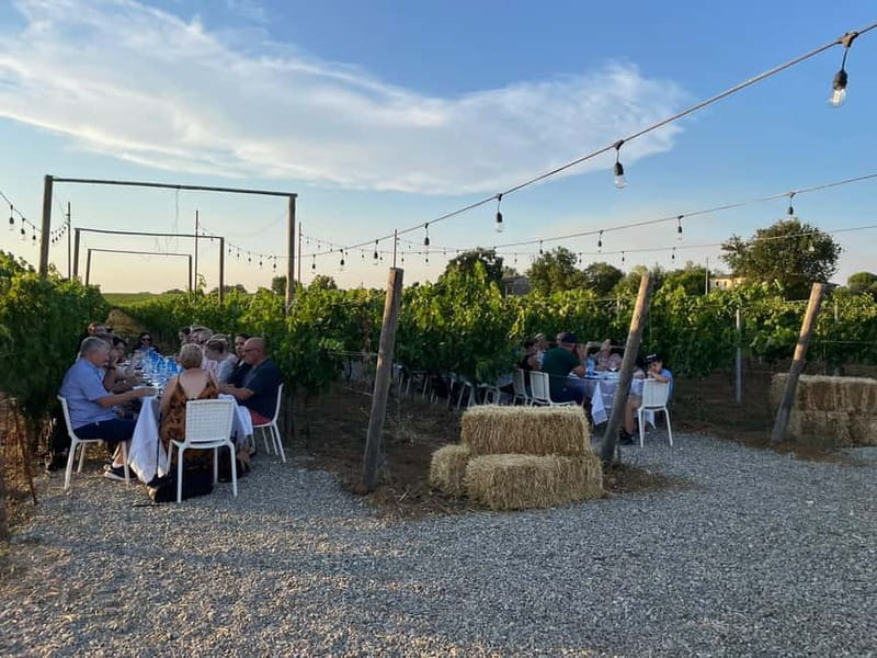 From Siena/Chianti: Dinner & Drinks in the Chianti Vineyards - FAQ