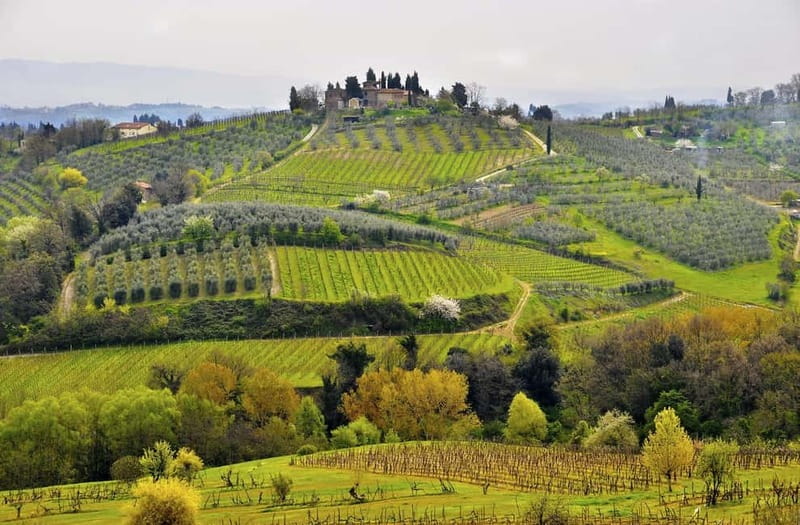 From Siena/Chianti: Dinner & Drinks in the Chianti Vineyards - From Siena station to the Chianti countryside