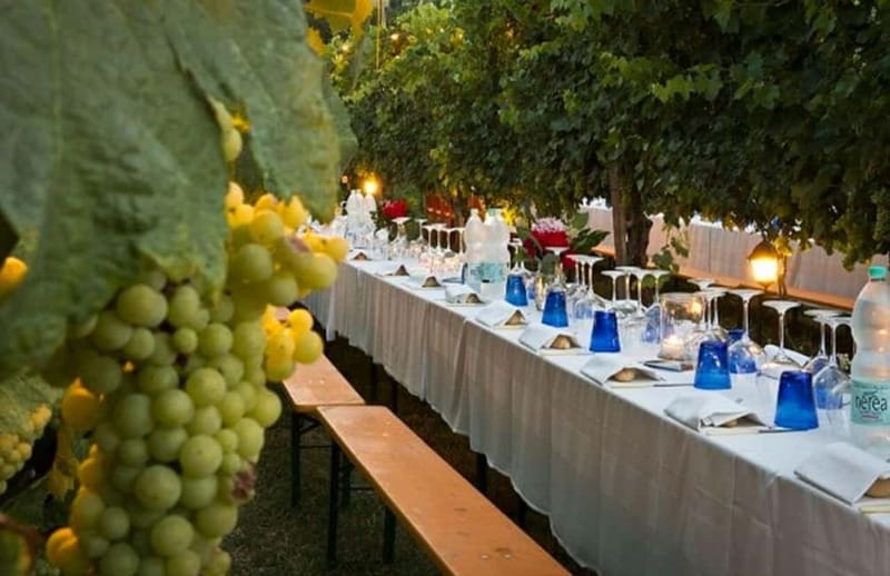 From Siena/Chianti: Dinner & Drinks in the Chianti Vineyards - Should you book this Siena to Chianti evening?