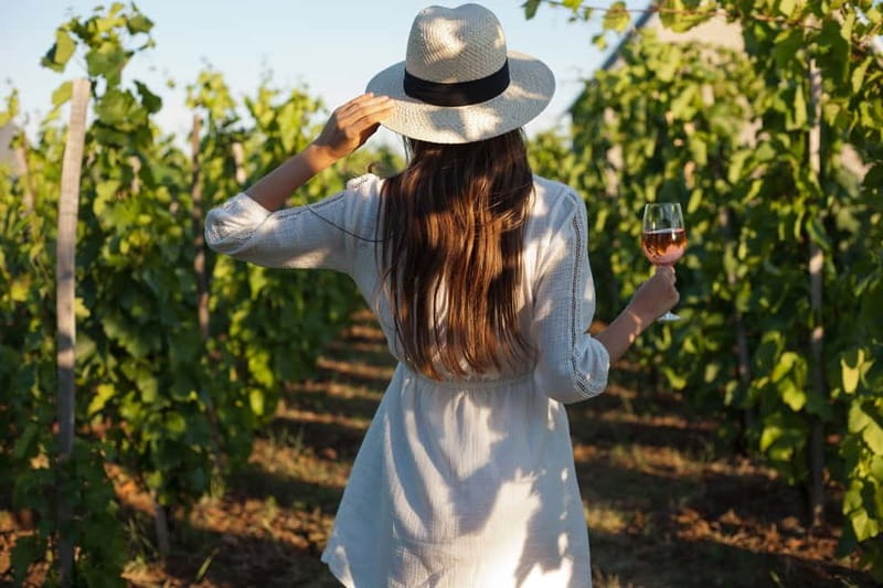 From Siena/Chianti: Dinner & Drinks in the Chianti Vineyards - A first glass at the farmhouse winery